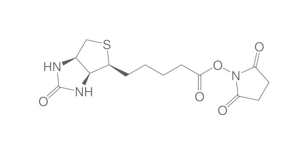 Biotin succinimidyl ester, 2 g - Luminix Health