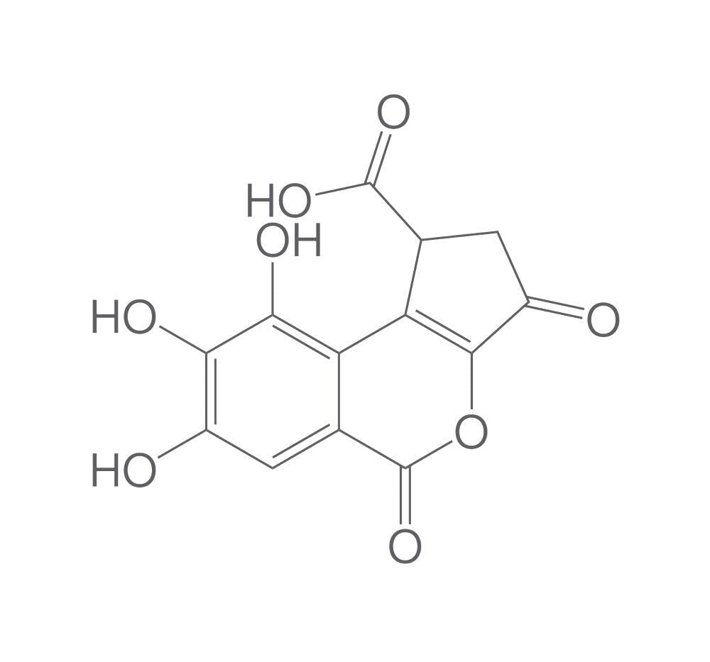 Brevifolincarboxylic acid, min. 95 %, 5 mg - Luminix Health