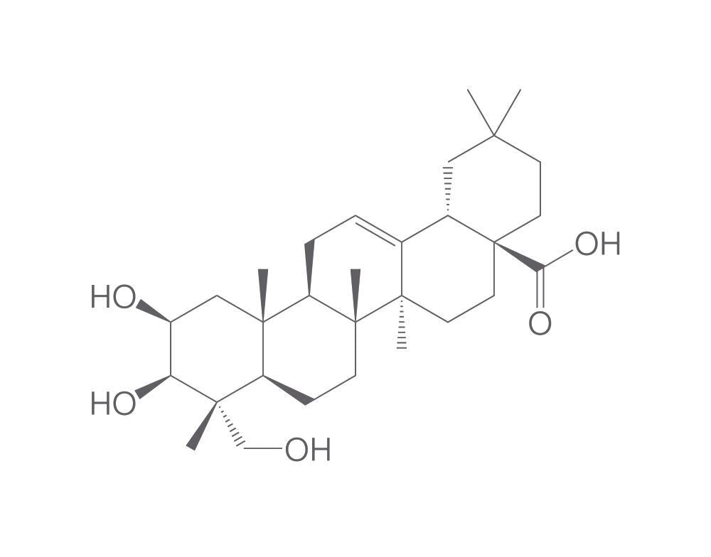 Bayogenin, 5 mg - Luminix Health