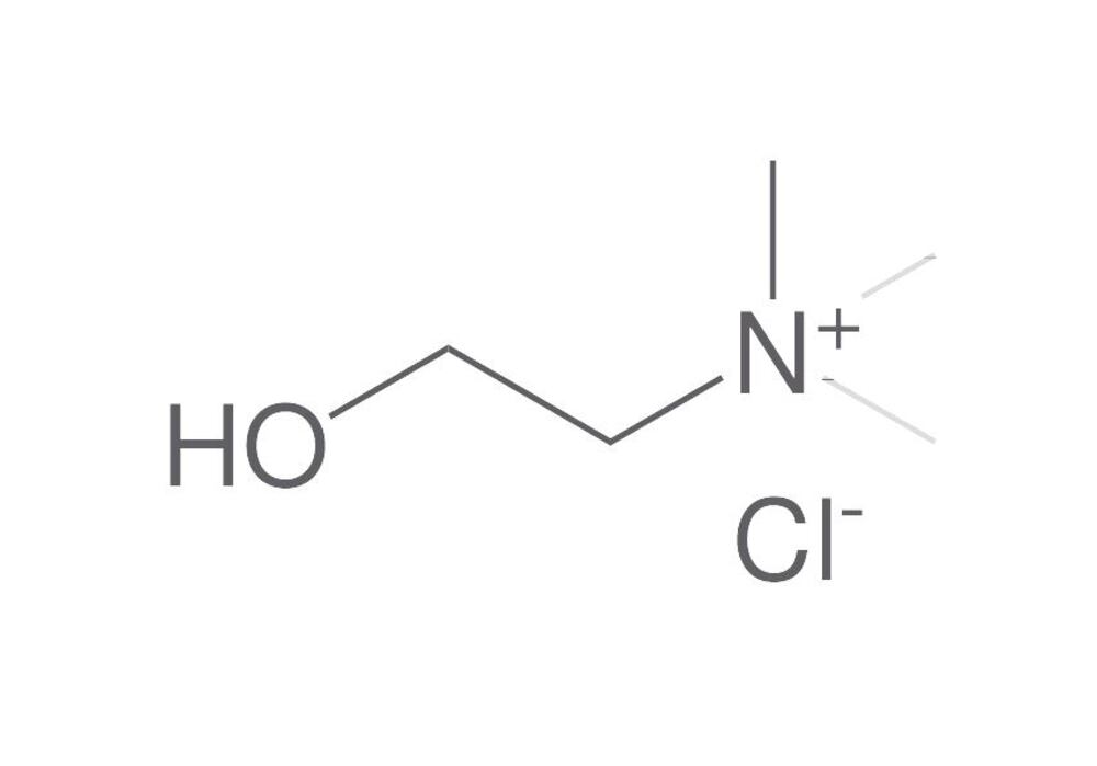 Choline chloride, min. 95 %, 500 g - Luminix Health