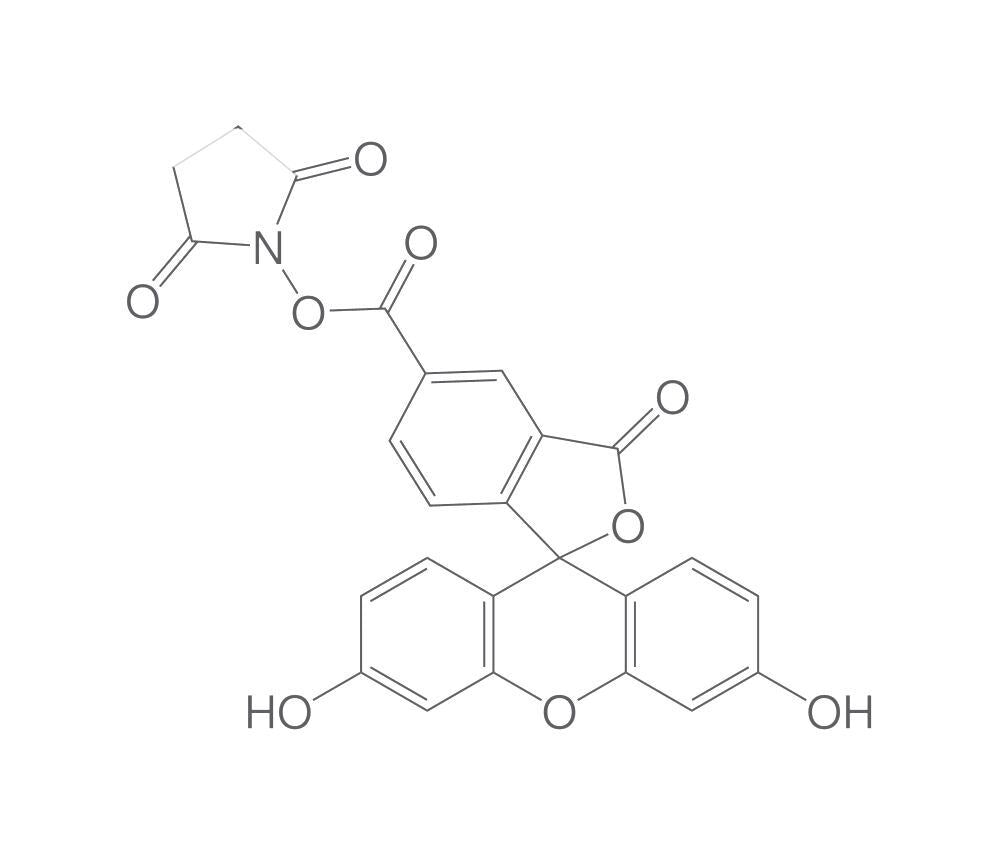 5-Carboxyfluorescein-N-hydroxysuccinimid, e ester, 50 mg - Luminix Health