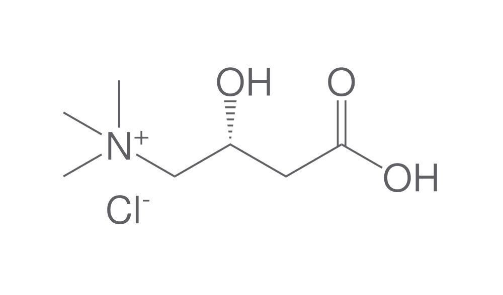 L-Carnitine hydrochloride, min. 95 %, 500 g - Luminix Health