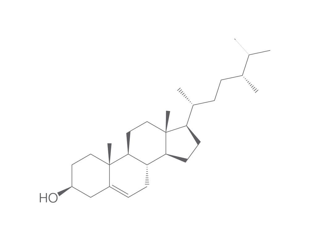 Campesterol, min. 95 %, 2 mg - Luminix Health
