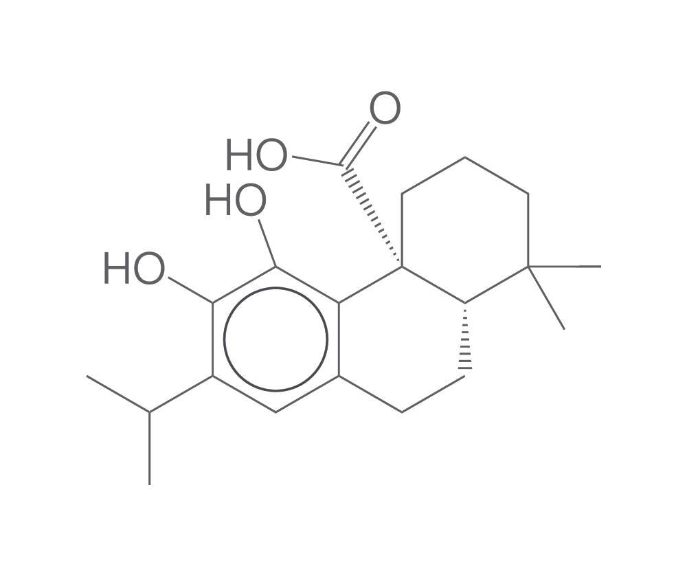 Carnosic acid, min. 95 %, 100 mg - Luminix Health