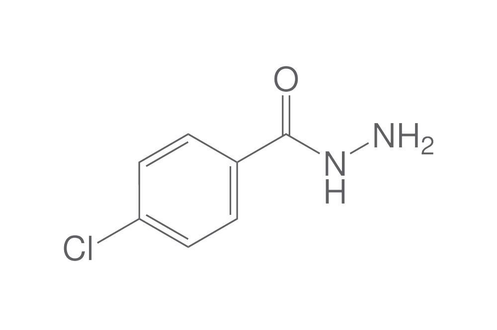 4-Chlorobenzhydrazide, min. 95 %, 100 g - Luminix Health