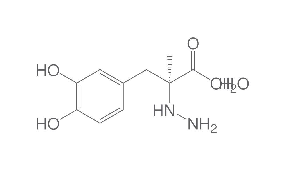 S-(-)-Carbidopa monohydrate, min. 95 %, 10 g - Luminix Health