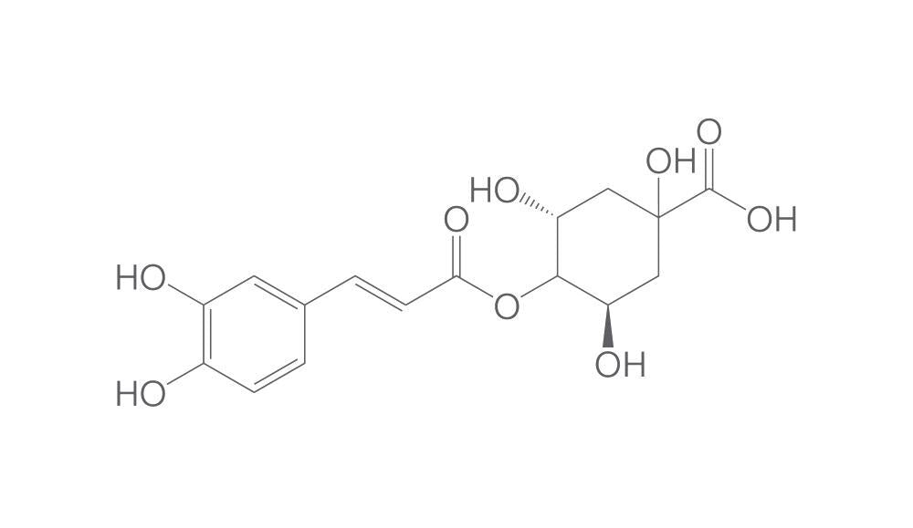 Cryptochlorogenic acid, 10 mg - Luminix Health