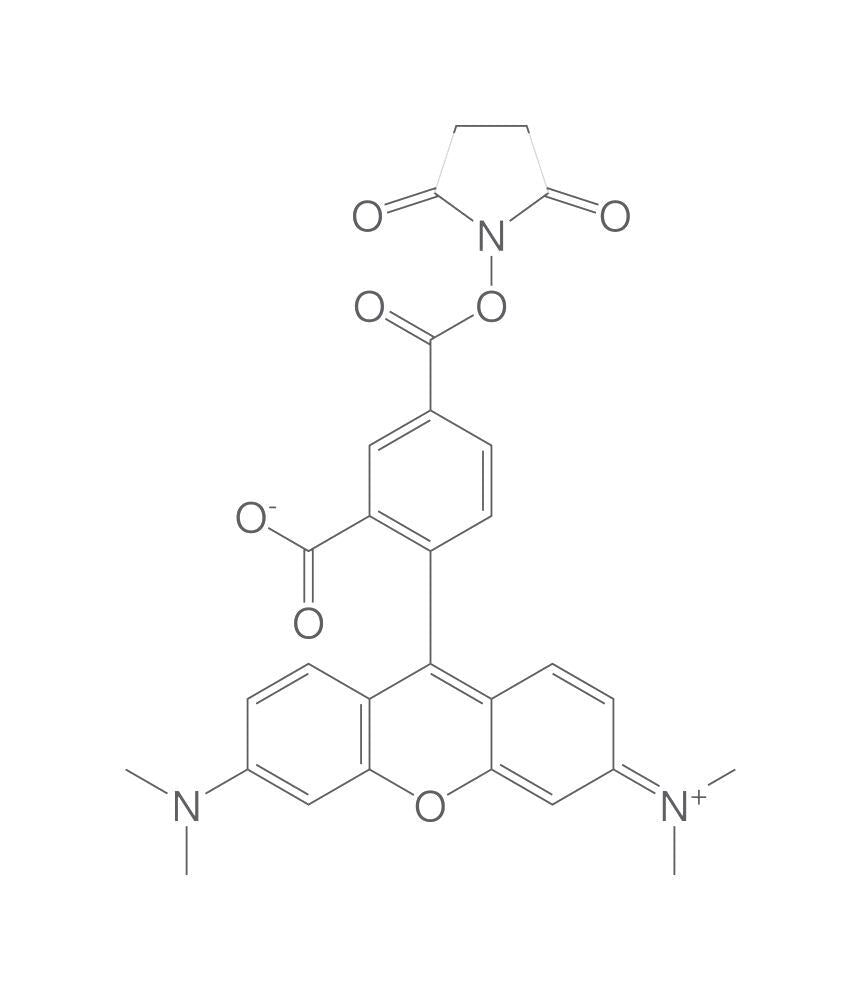 5-Carboxytetramethylrhodamine succinimid, yl ester, 50 mg - Luminix Health