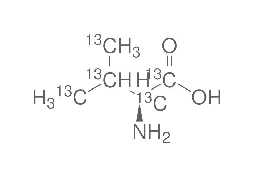 L-Valine-13C5, min. 95 %, 5 mg - Luminix Health