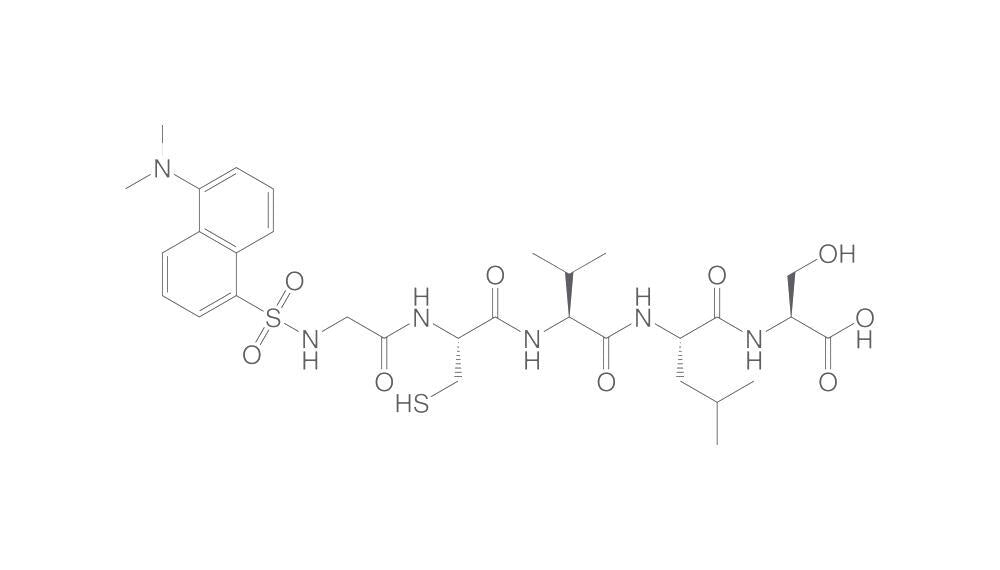 Dansyl-Gly-Cys-Val-Leu-Ser-OH, min. 90 %, 1 mg - Luminix Health