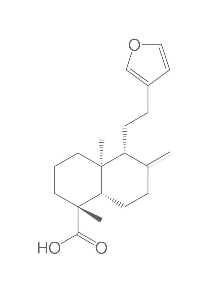 Daniellic acid, min. 95 %, 5 mg - Luminix Health
