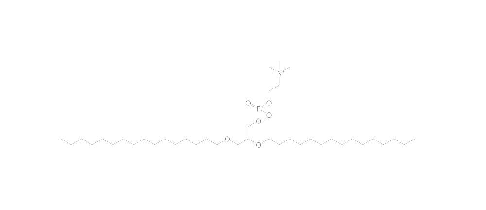1,2-Di-O-hexadecyl-rac-glycero-3-phospho, choline, 10 mg - Luminix Health