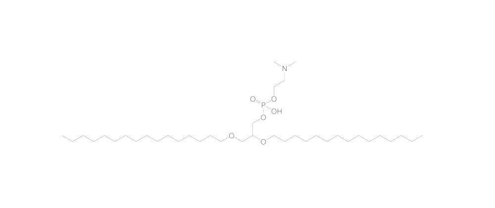 1,2-Di-O-hexadecyl-sn-glycero-3-phospho-, N,N-dimethylethanolamine, 250 mg - Luminix Health