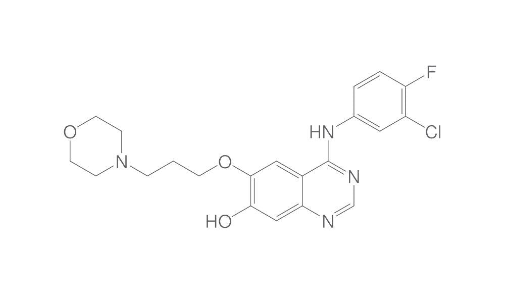 O-Desmethyl gefitinib, 10 mg - Luminix Health