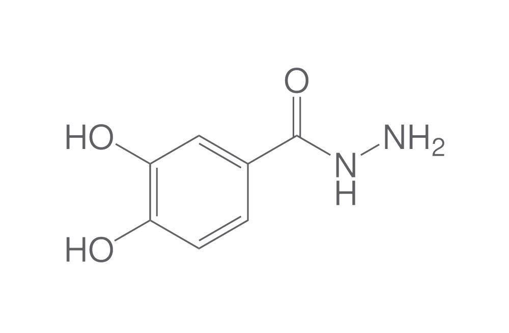 3,4-Dihydroxybenzhydrazide, min. 95 %, 5 g - Luminix Health