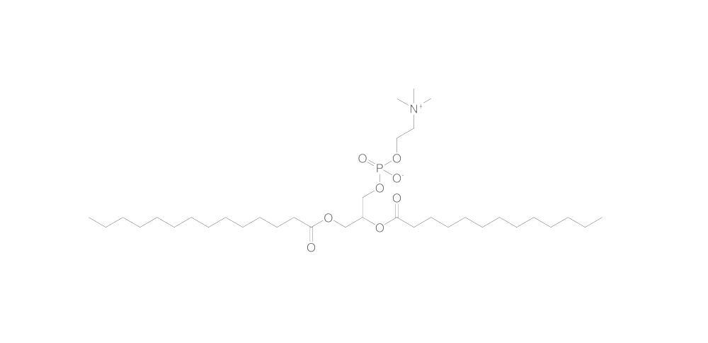 1,2-Dimyristoyl-rac-glycero-3-phosphocho, line, 1 g - Luminix Health
