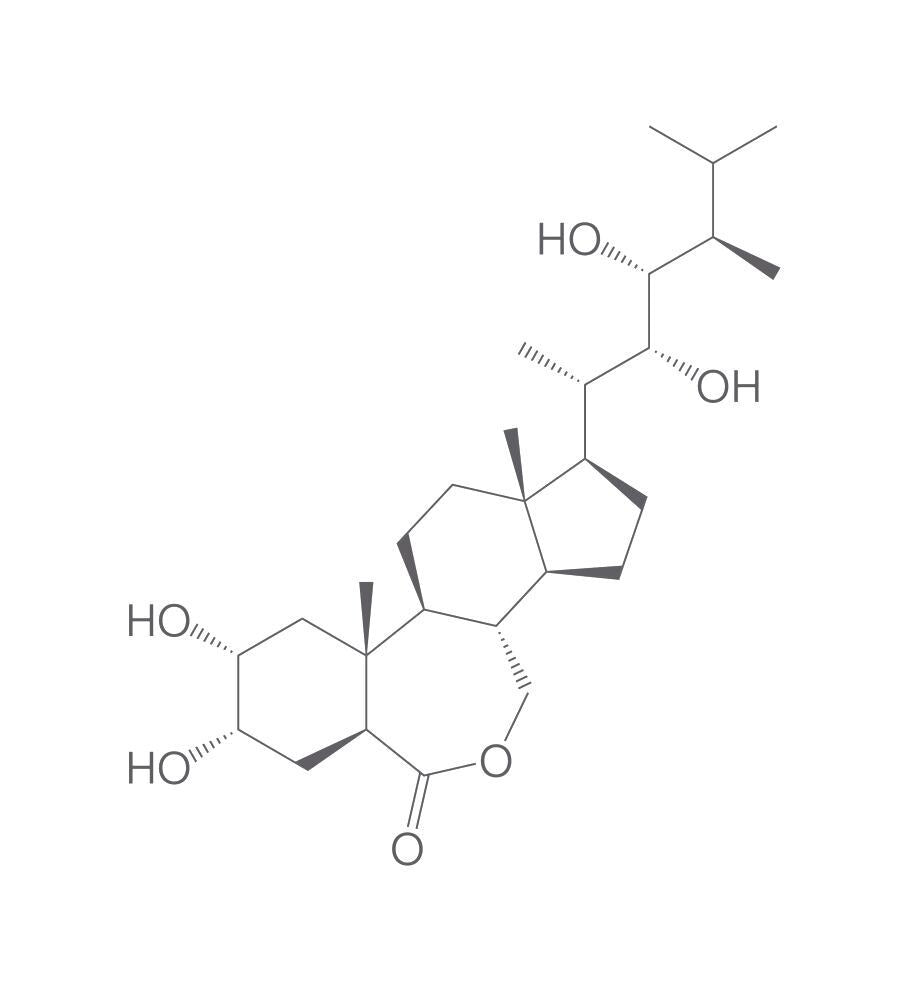 Epibrassinolide, min. 85 %, 50 mg - Luminix Health