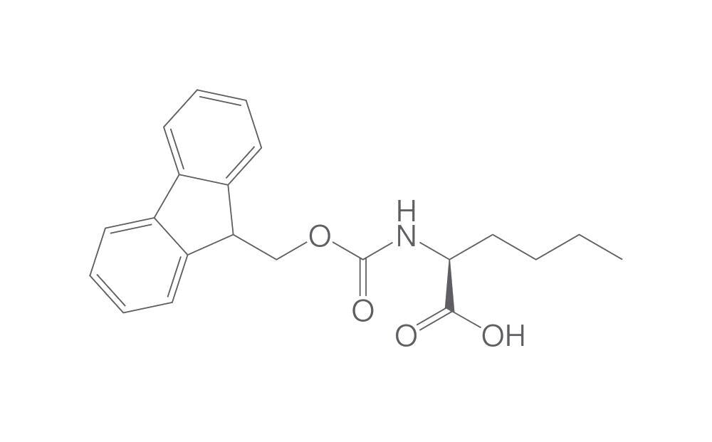 Fmoc-L-norleucine, 25 g - Luminix Health