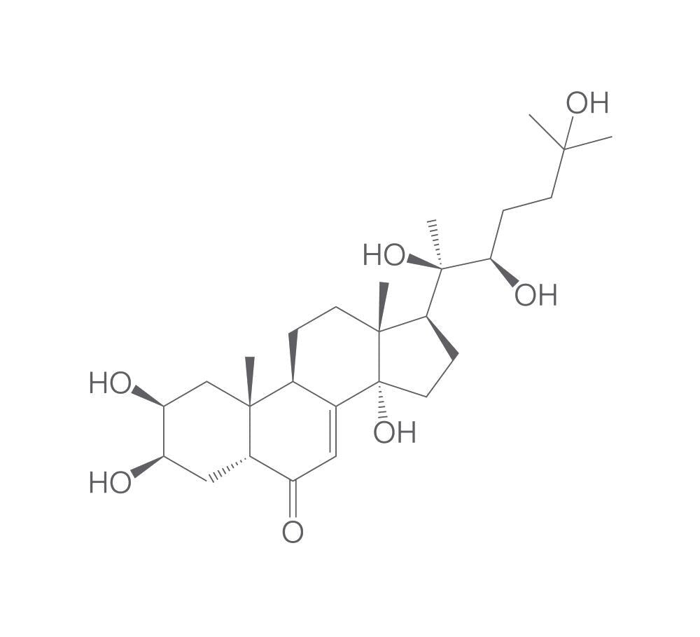 20-Hydroxyedysone, min. 95 %, 10 g - Luminix Health
