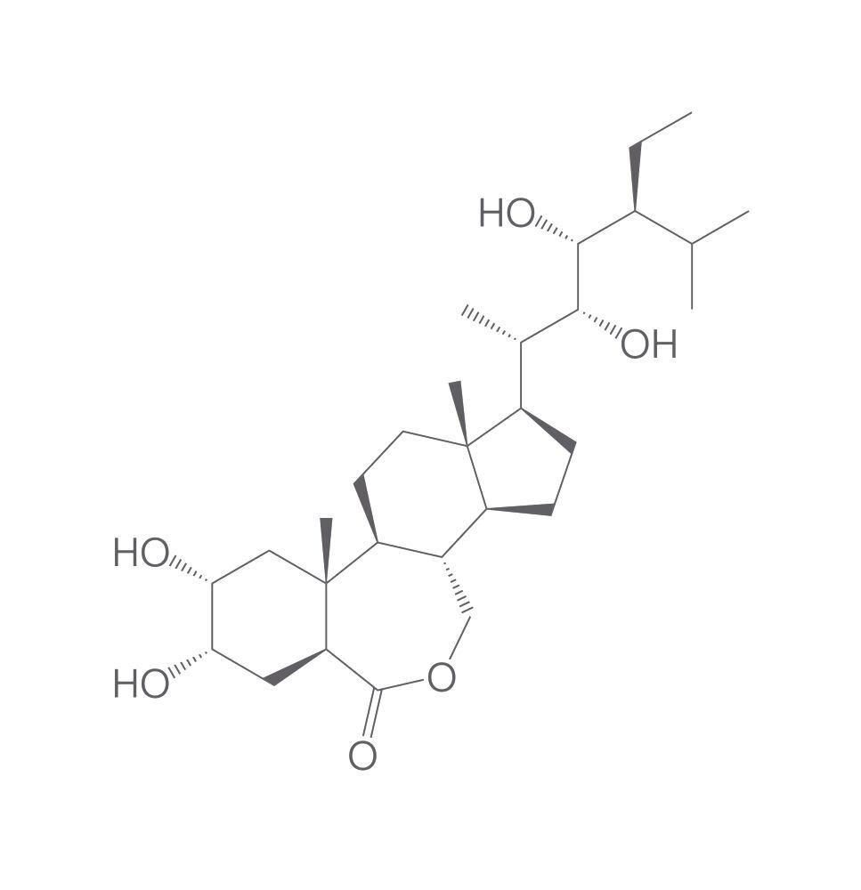 Homobrassinolide, min. 95 %, 100 mg, Carl Roth, art. 2N72.2