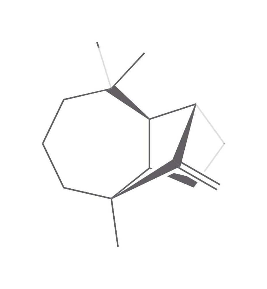 Longifolene, min. 70 %, 500 mg - Luminix Health