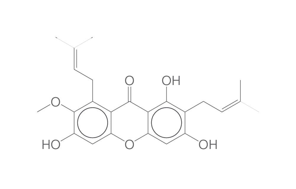 Mangostin, min. 95 %, 250 mg - Luminix Health