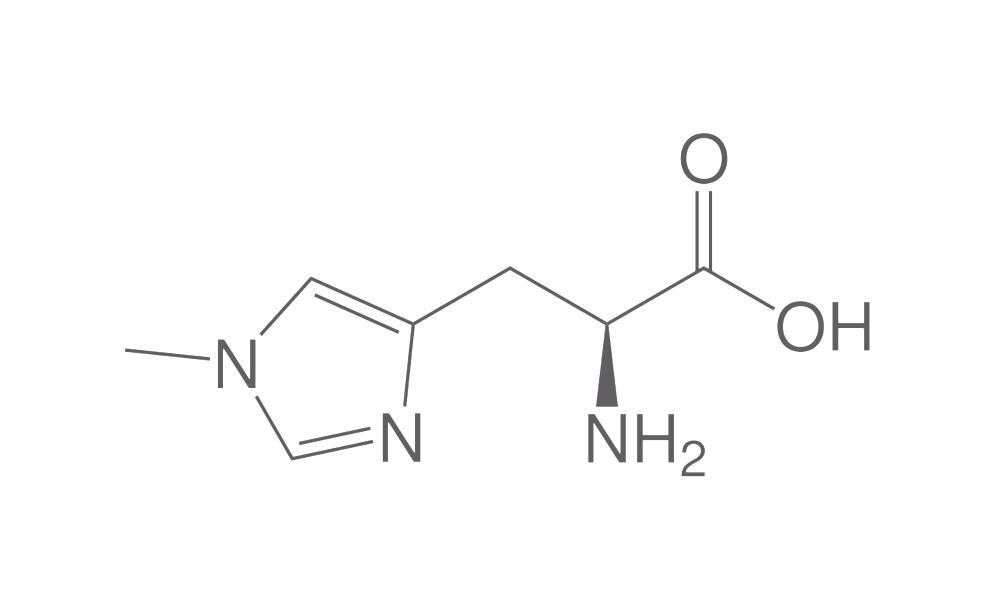 1-Methyl-L-histidine, min. 95 %, 1 g - Luminix Health
