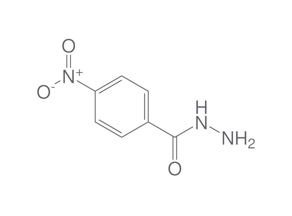 4-Nitrobenzhydrazide, 10 g - Luminix Health