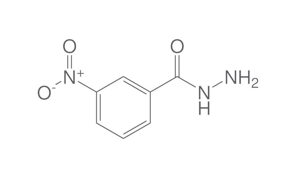3-Nitrobenzhydrazide, min. 95 %, 100 g - Luminix Health