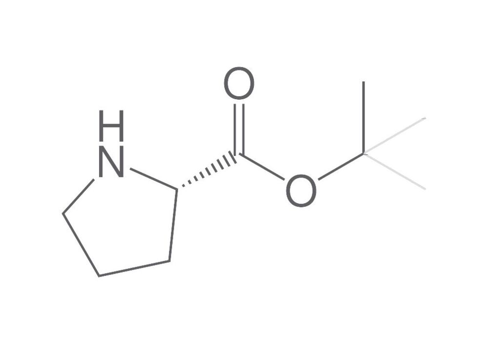 L-Proline tert-butyl ester, min. 95 %, 10 g - Luminix Health