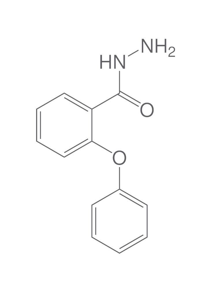 2-Phenoxybenzoic acid hydrazide, min. 95 %, 50 g - Luminix Health