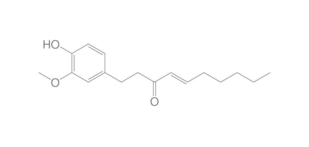 6-Shogaol, min. 95 %, 10 mg - Luminix Health