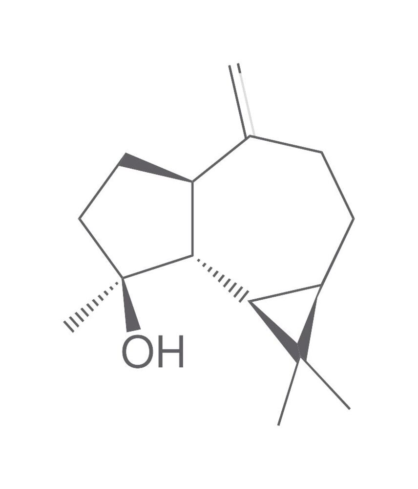 Spathulenol, 1 mg - Luminix Health