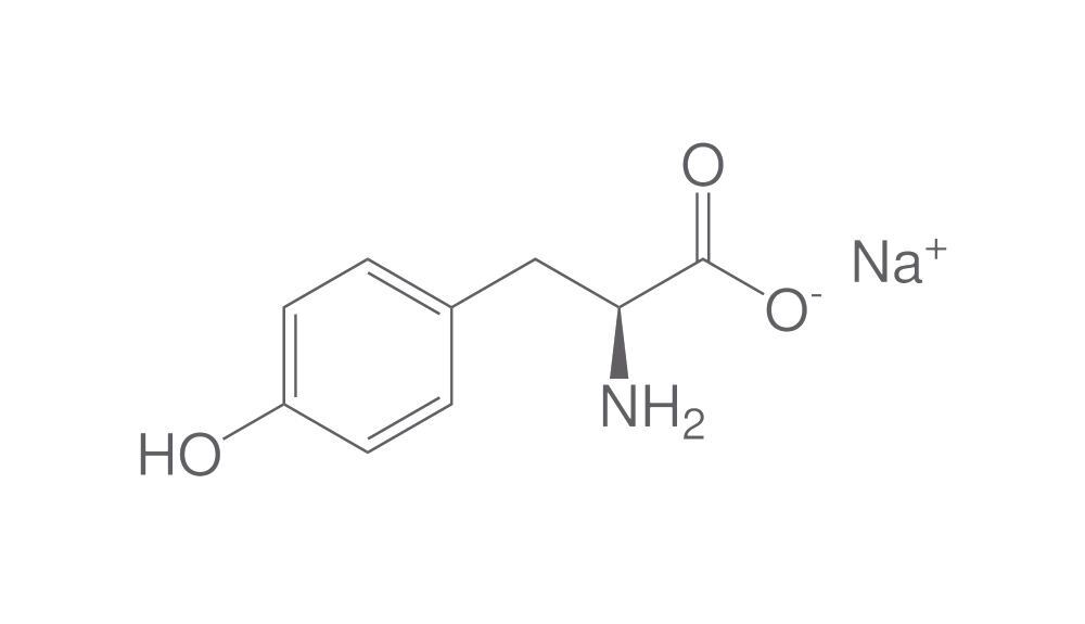 L-Tyrosine disodium salt hydrate, 250 g - Luminix Health