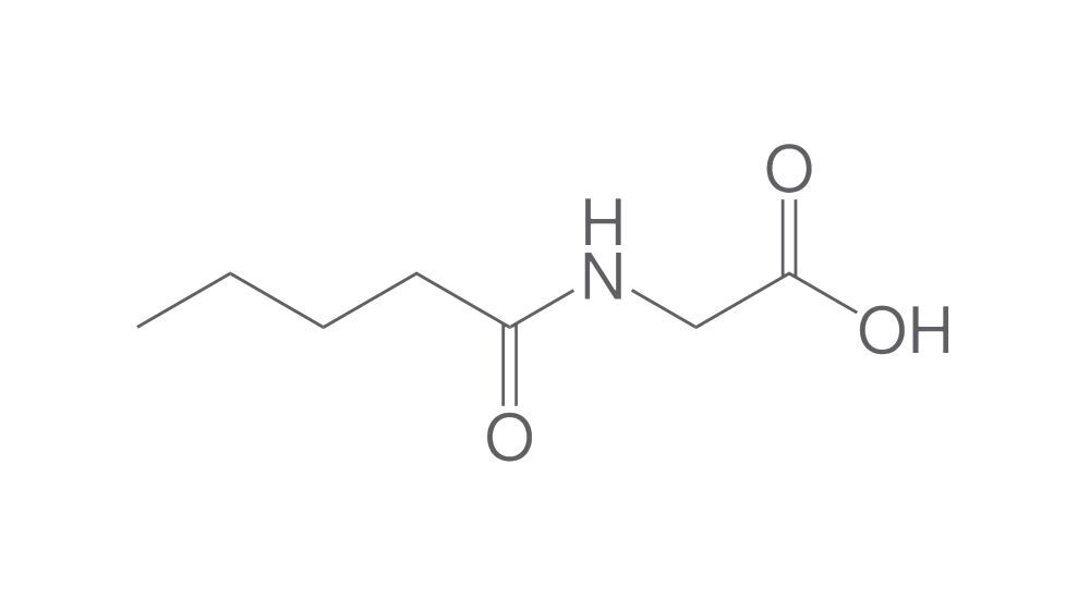 N-Valerylglycine, min. 90 %, 100 mg - Luminix Health