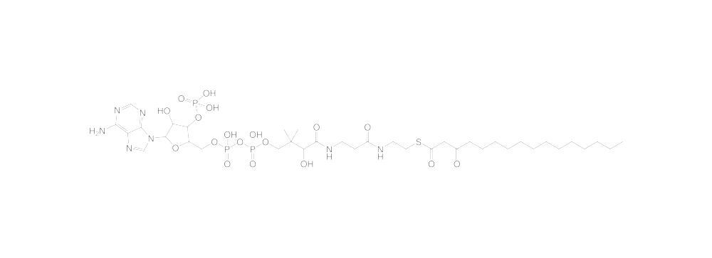 3-Ketopalmitoyl-coa, min. 95 %, 1 mg - Luminix Health