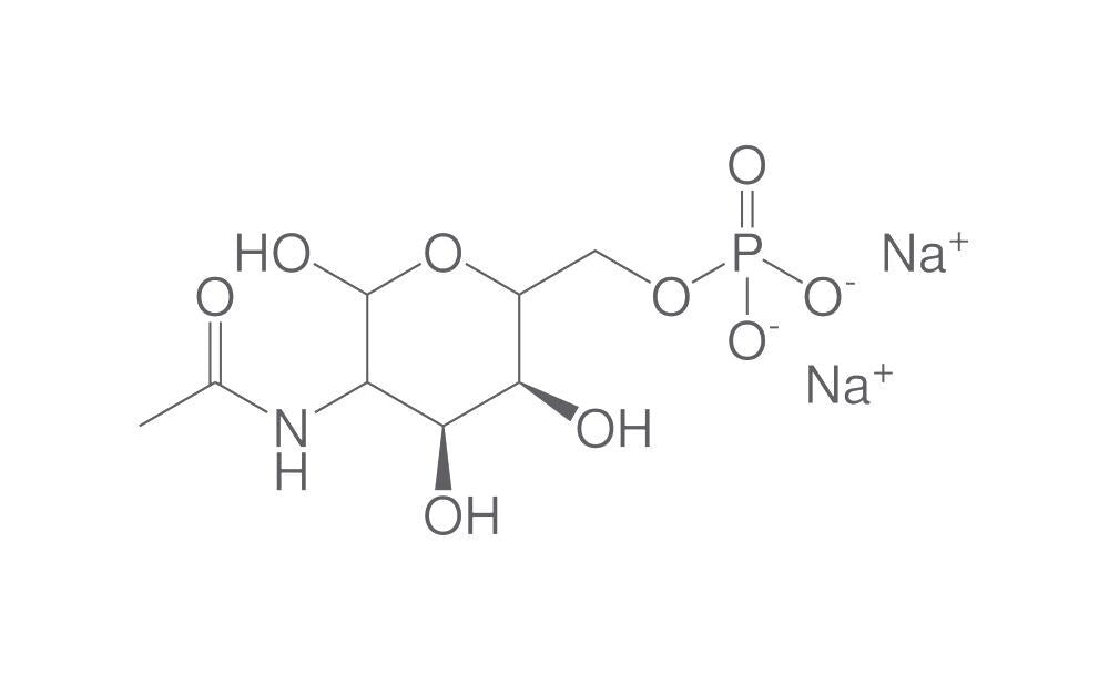 N-Acetyl-D-mannosamine-6-phosphate disod, ium salt, 25 mg - Luminix Health