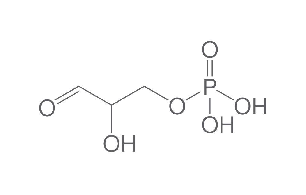 DL-Glyceraldehyde 3-phosphate, 45-55 mg/mL in water, 10 mg - Luminix Health