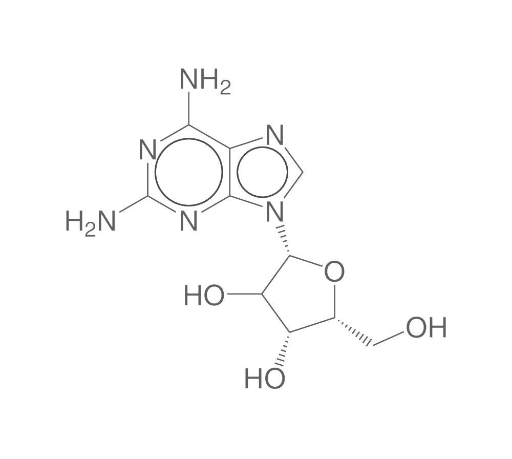 2-Aminoadenosine, min. 95 %, 50 g - Luminix Health