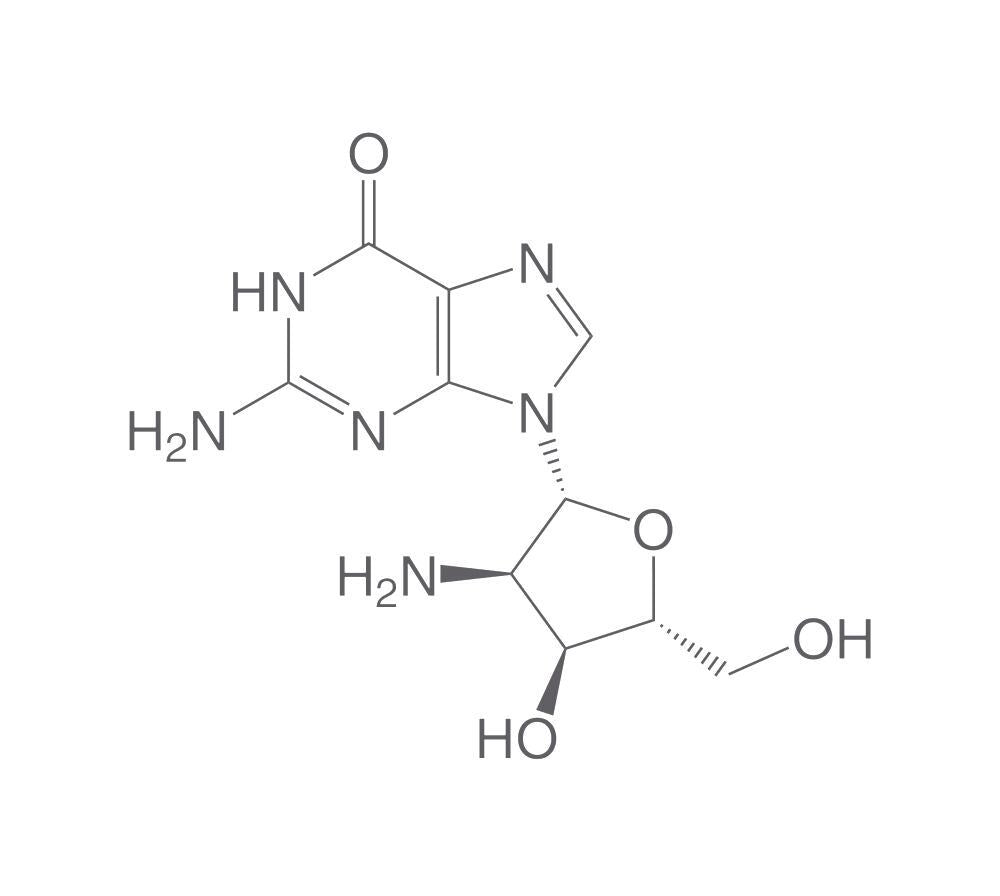 2'-Amino-2'-deoxyguanosine, 250 mg - Luminix Health