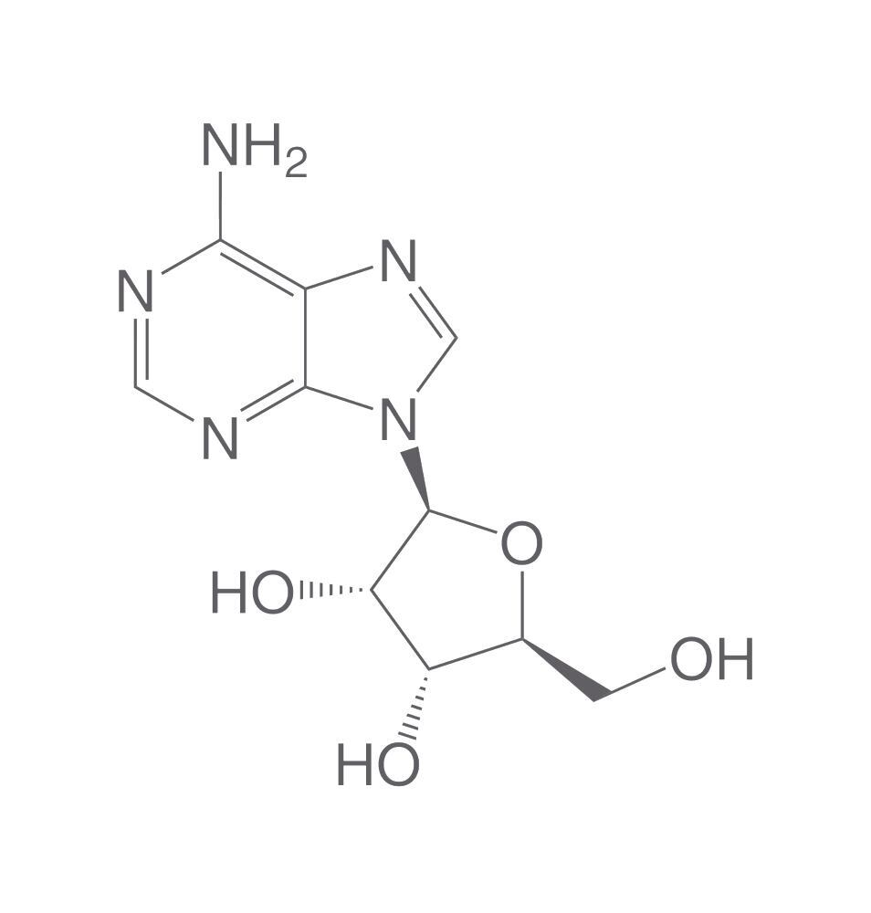 L-Adenosine, min. 95 %, 100 mg - Luminix Health