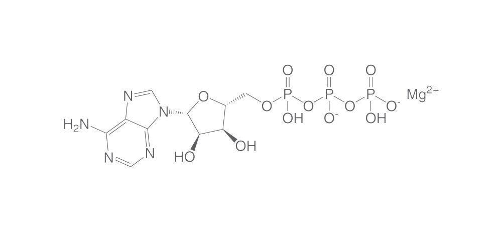 Adenosine 5'-triphosphate magnesium salt, 1 g - Luminix Health