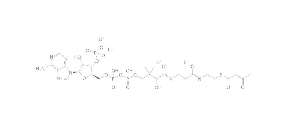 Acetoacetyl coenzyme A lithium salt, 5 mg - Luminix Health