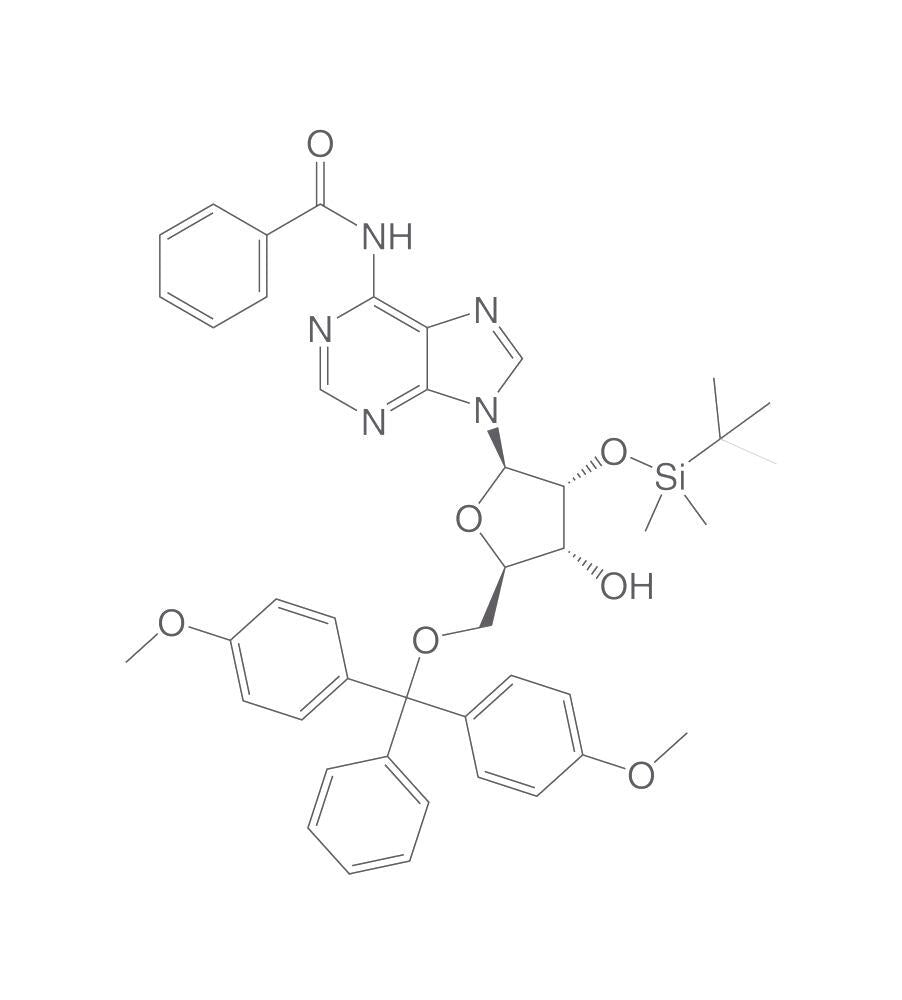 N6-Benzoyl-2'-O-tert-butyldimethylsilyl-, 5'-O-DMT-adenosine, 5 g - Luminix Health