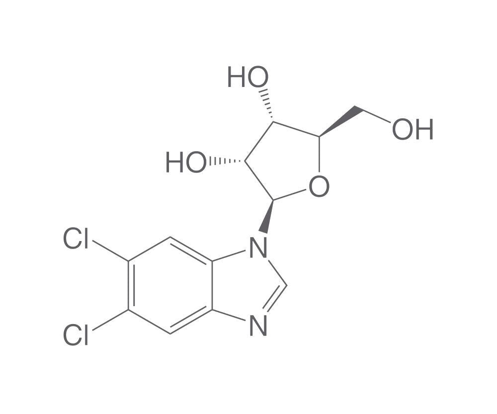 5,6-Dichlorobenzimidazole-1-b-D-ribofura, noside, 50 mg - Luminix Health