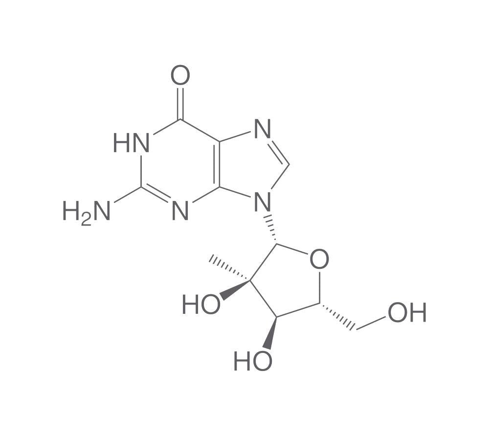 2'-C-Methylguanosine, 250 mg - Luminix Health