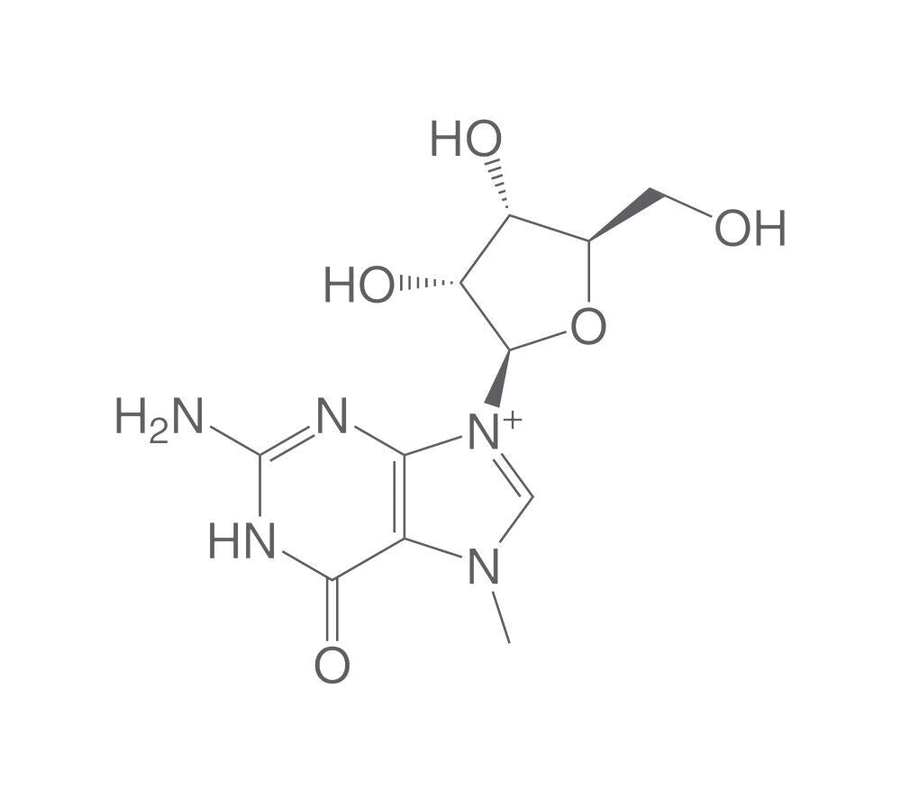 N7-Methylguanosine, min. 95 %, 250 mg - Luminix Health