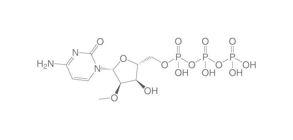 2'-O-Methylcytidine-5'-triphosphate sodi, um salt, 2.5 mg - Luminix Health