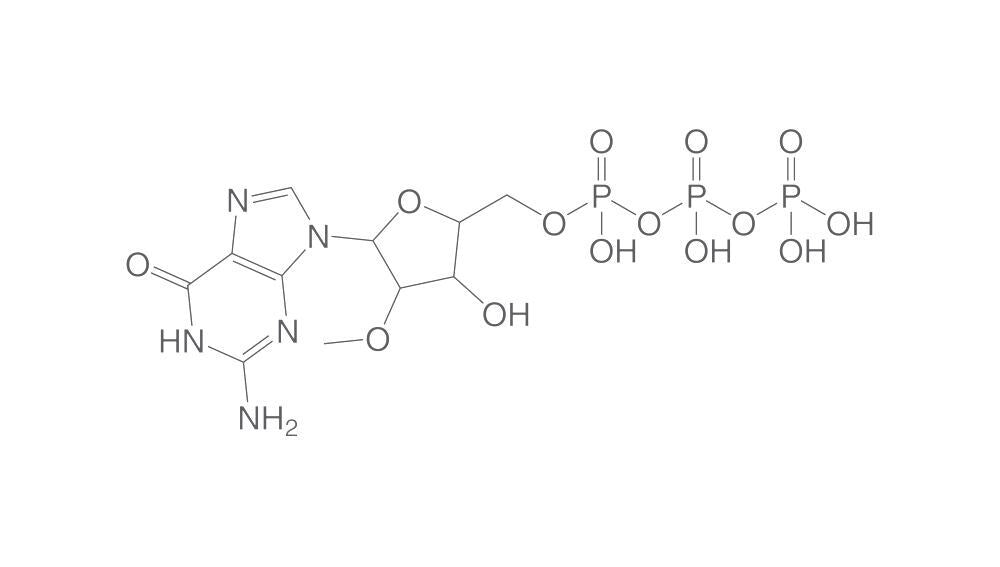 2'-O-Methylguanosine-5'-triphosphate sod, ium salt, 2.5 mg - Luminix Health