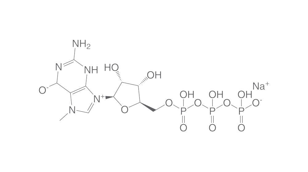 7-Methylguanosine 5'-triphosphate sodium, min. 85 %, 2 mg - Luminix Health